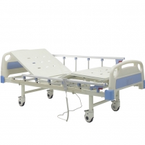 Two Function Electric Care Bed