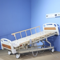 Economic Five Function Electric Care Bed